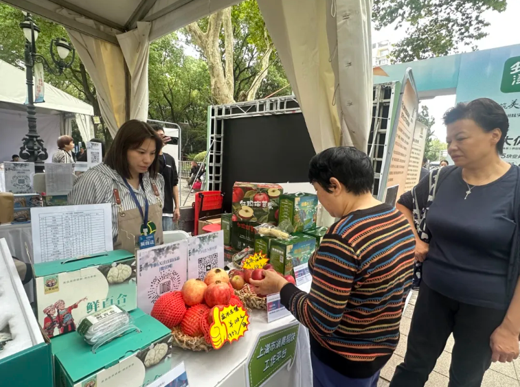 20241017081915085270.png image.png