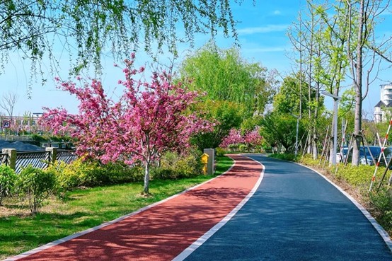 2026逛青浦环城水系公园指南