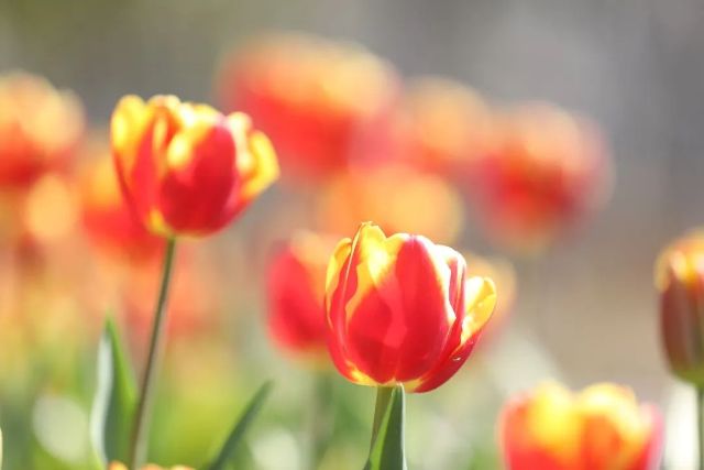 0324_125952_662.jpg 微信图片_2025-03-24_130023_605.jpg