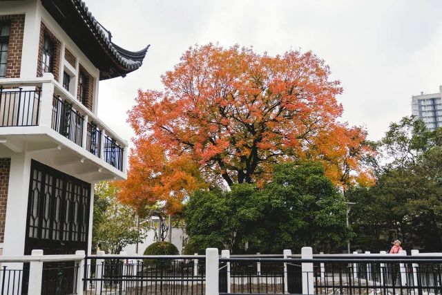 1216_150203_257.jpg 微信图片_2024-12-16_135311_400.png