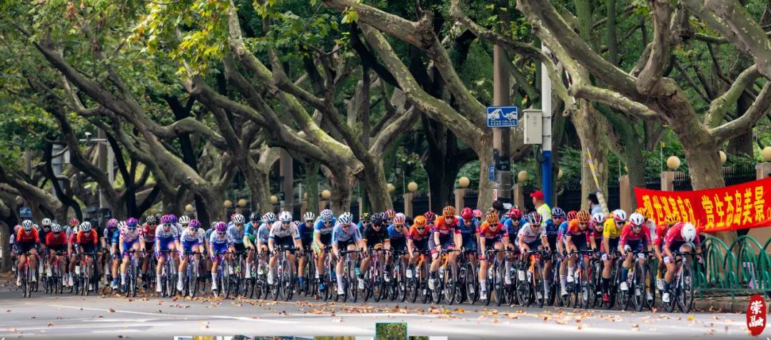 20241010132440016422.jpg 20241010132440016422.jpg