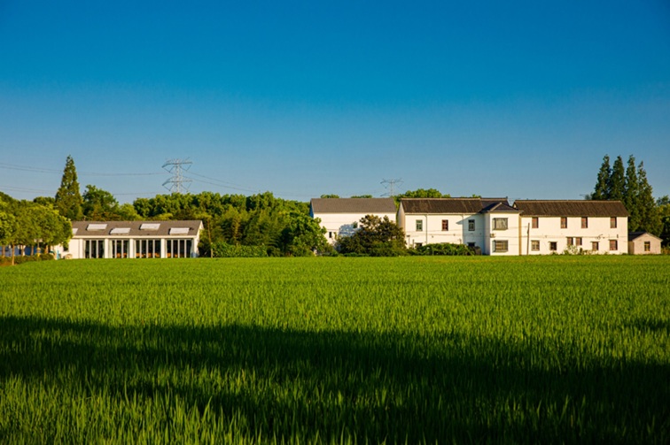 随着镜头中的涟漪,在水韵流转中感受青浦水美乡村 随着镜头中的涟漪,在水韵流转中感受青浦水美乡村