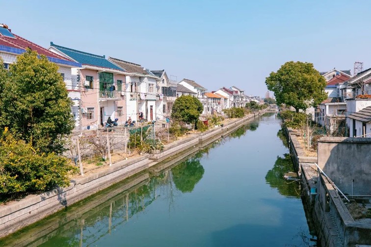 江南春景水一半，12处小流域绘青浦生态美域