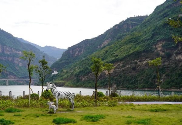 1031_134734226_201.jpg 20241031_134447_010.jpg