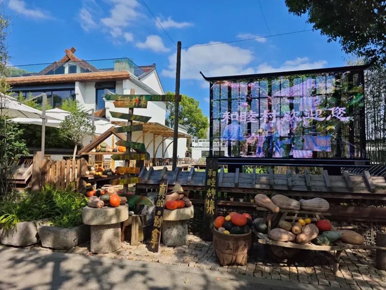 柿子熟了,快来青浦邂逅最“甜蜜”的秋!再不来就要等一年了! 柿子熟了,快来青浦邂逅最“甜蜜”的秋!再不来就要等一年了!