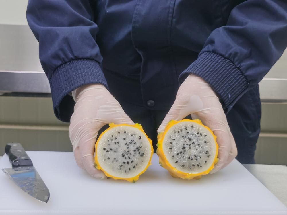 海关查验厄瓜多尔火龙果.jpeg 海关查验厄瓜多尔火龙果.jpeg