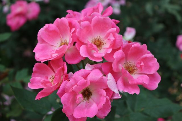 0519_153028_366.jpg 微信图片_2025-05-19_152942_995.jpg