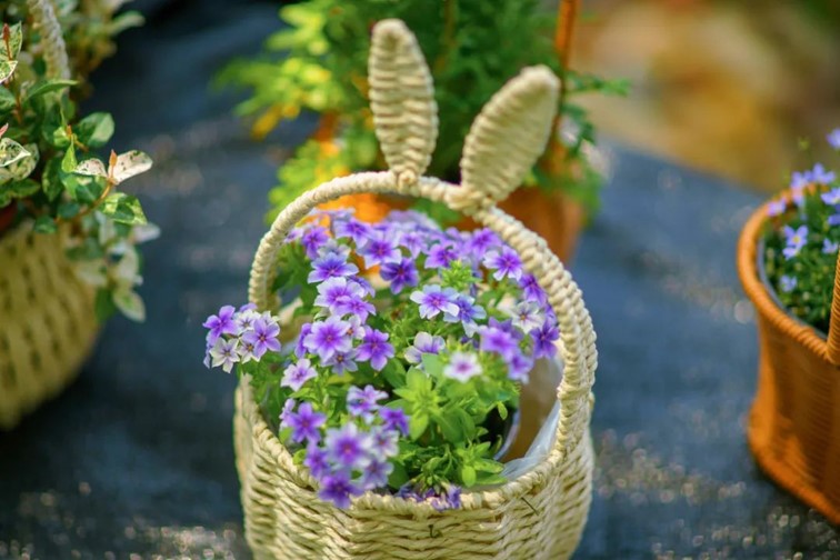 会·聚青浦|这条既City又Country的旅“行”,才是当代人的最爱! 会·聚青浦|这条既City又Country的旅“行”,才是当代人的最爱!