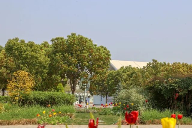 0328_113857_533.jpg 微信图片_2025-03-28_113941_879.jpg