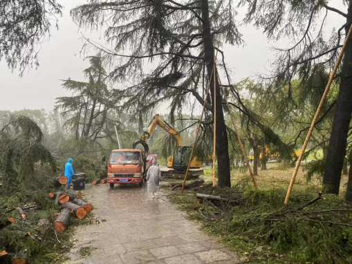 微信图片_20240925102640.png 微信图片_20240925102640.png