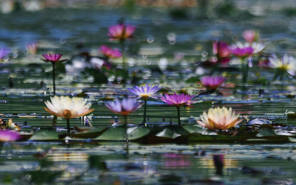 浮光 展区 (2).jpg 浮光 展区 (2).jpg