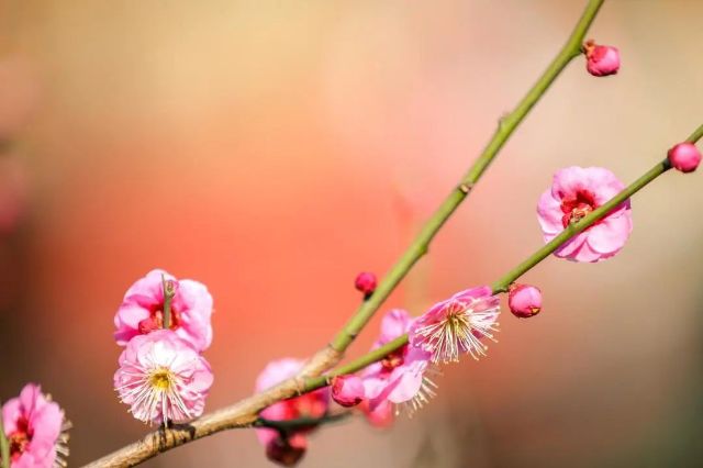 0227_102840_239.jpg 微信图片_2025-02-27_102911_710.jpg