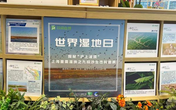 上海开展第30个世界湿地日系列宣传活动1.jpg