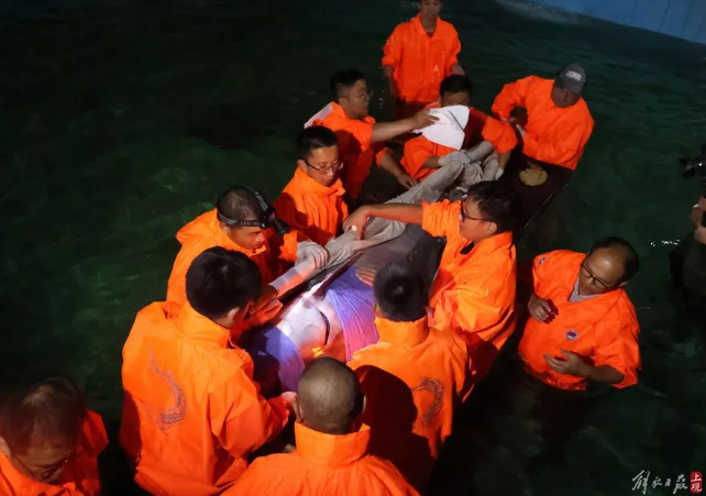 屏幕捕获_2024_10_10_09_26_13_783.png 屏幕捕获_2024_10_10_09_26_13_783.png