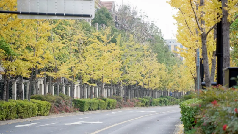 图片 13.png 图片 13.png