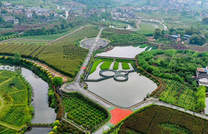 2022年4月5日在四川省华蓥市禄市镇凉水井村生态园拍摄的乡村旅游公路(无人机照片)。.jpg 2022年4月5日在四川省华蓥市禄市镇凉水井村生态园拍摄的乡村旅游公路(无人机照片)。.jpg