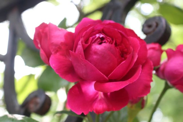 0519_153231_644.jpg 微信图片_2025-05-19_153035_878.jpg