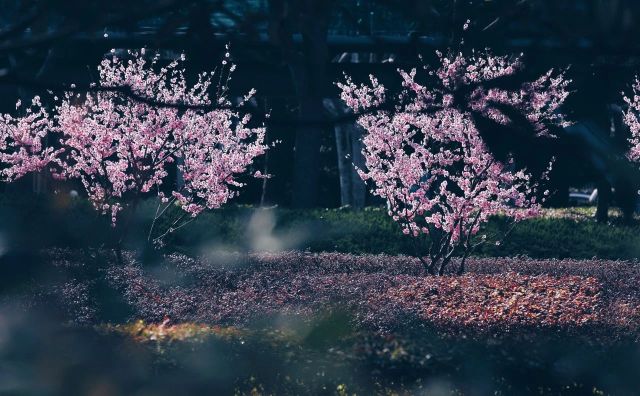 0227_102814_479.jpg 微信图片_2025-02-27_102858_966.jpg