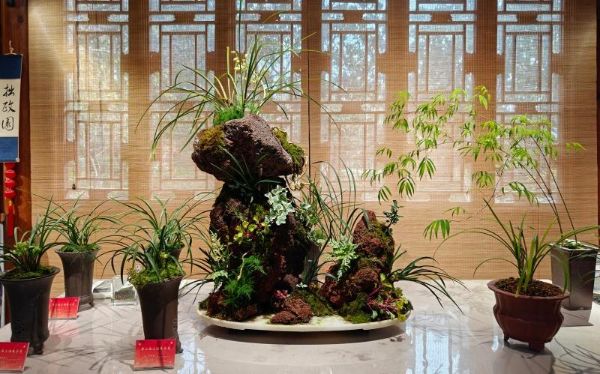 f7c74a1c2c0ca866dc9681aeab21c6af.jpg f7c74a1c2c0ca866dc9681aeab21c6af.jpg