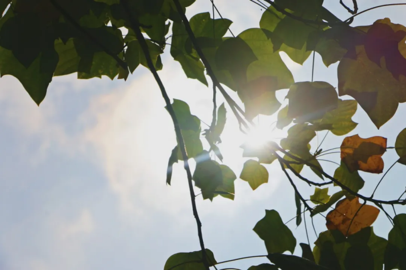 图片 14.png 图片 14.png