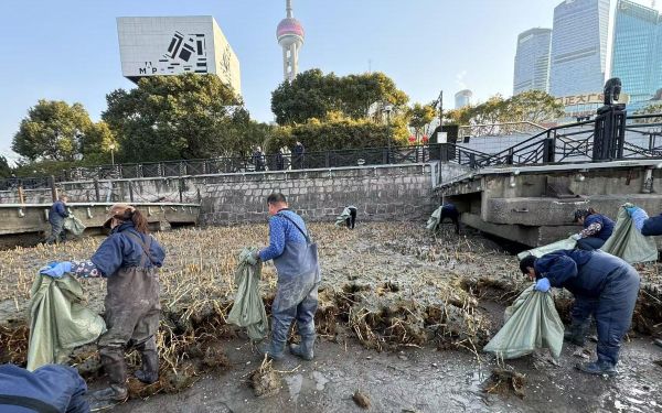 29 (3).jpg 29 (3).jpg