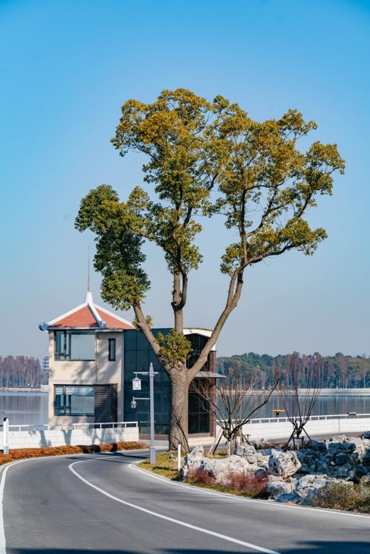 来青浦,骑行在青西“大河大湖”,太酷了! 来青浦,骑行在青西“大河大湖”,太酷了!
