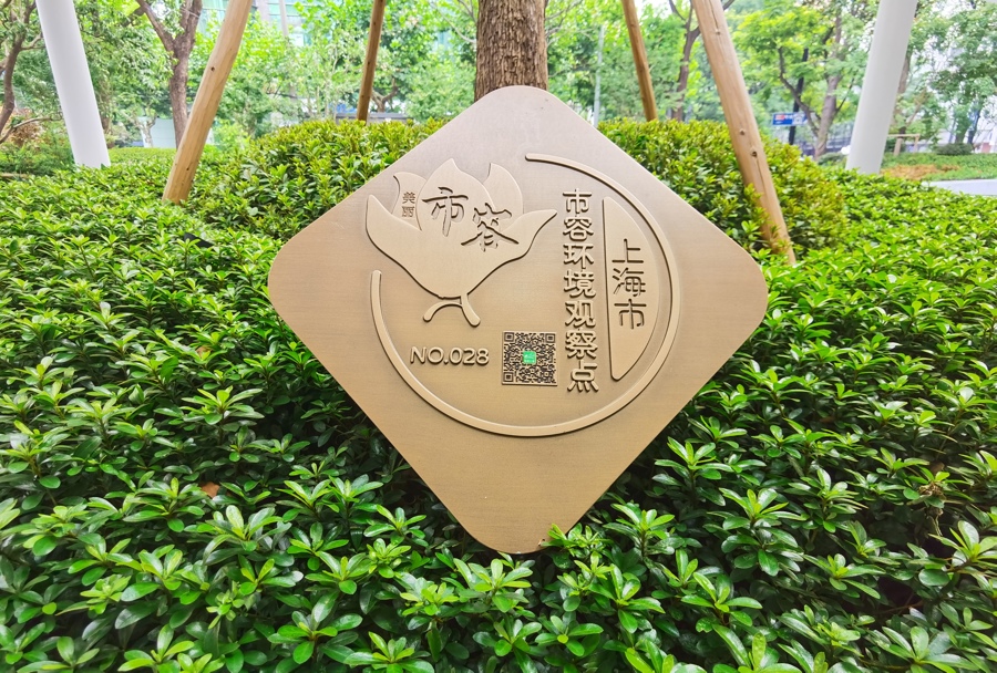 设在口袋公园内的市容环境观察点。均 陈玺撼 摄.jpg 设在口袋公园内的市容环境观察点。均 陈玺撼 摄.jpg