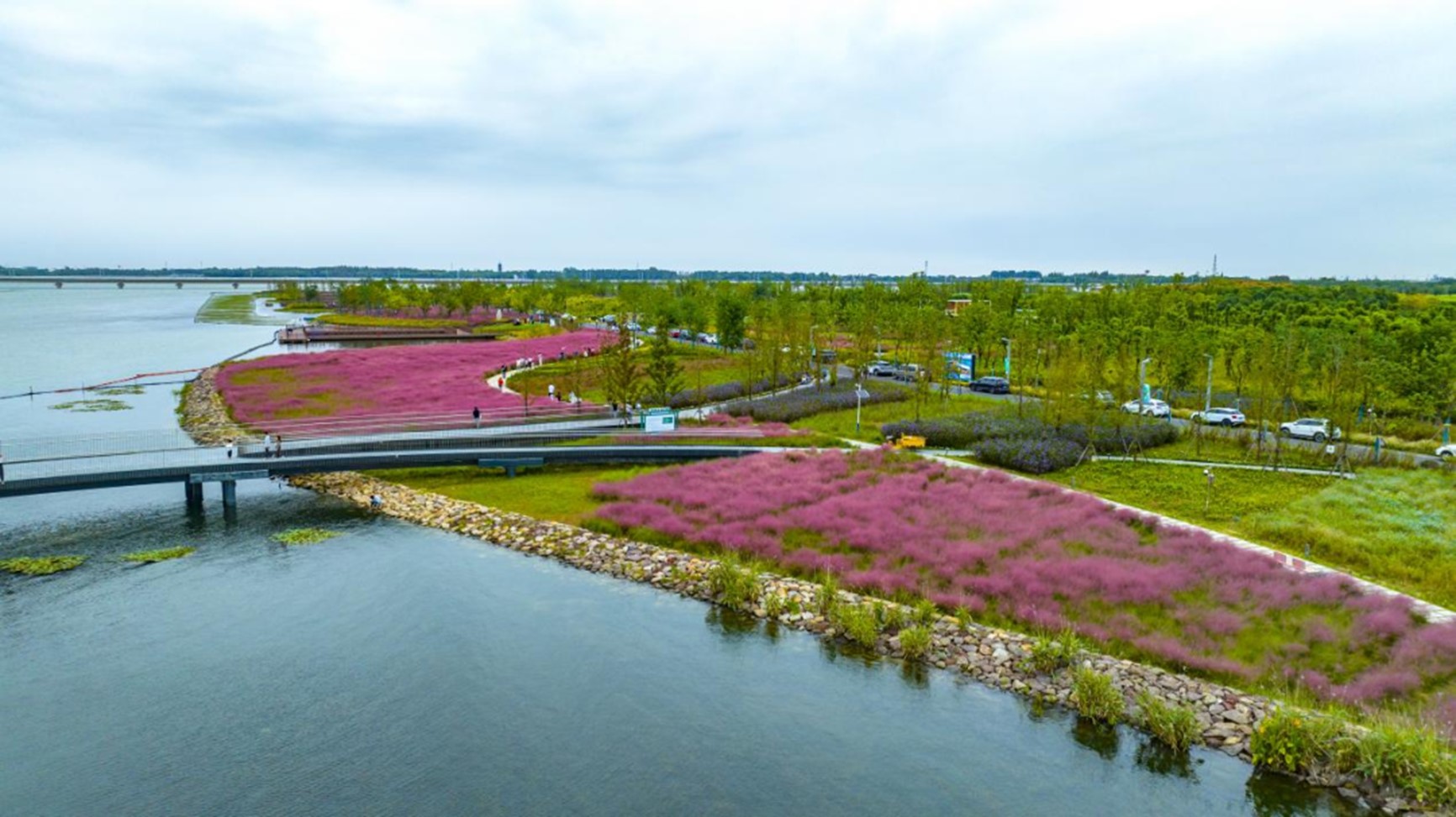 秋日“沪”水游丨青浦,江南秋日胜春朝 秋日“沪”水游丨青浦,江南秋日胜春朝