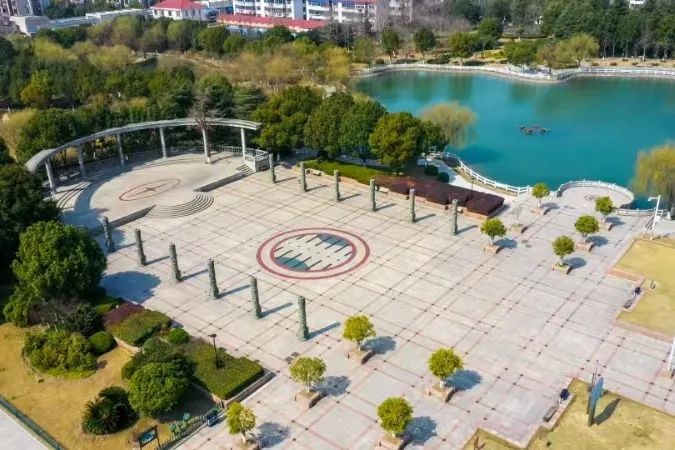 青浦+3！这些高标准保洁区域（道路）不容错过~