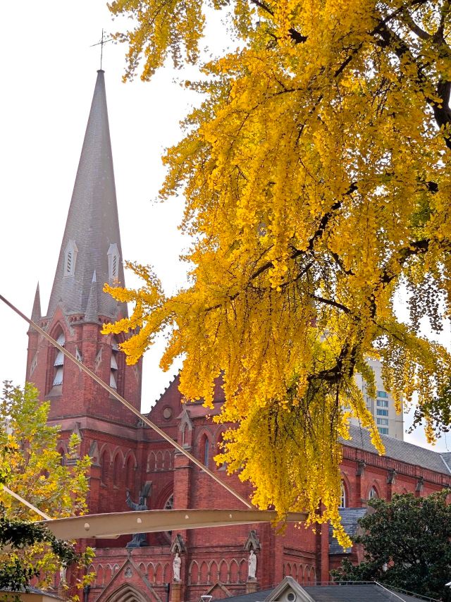 1216_150310_878.jpg 微信图片_2024-12-16_135332_889.png