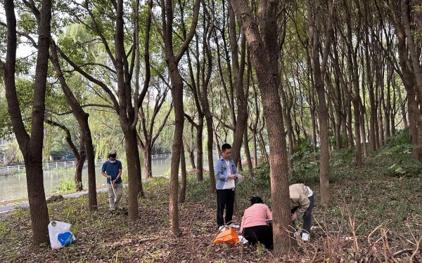 2024-10-12 141100.jpg 2024-10-12 141100.jpg