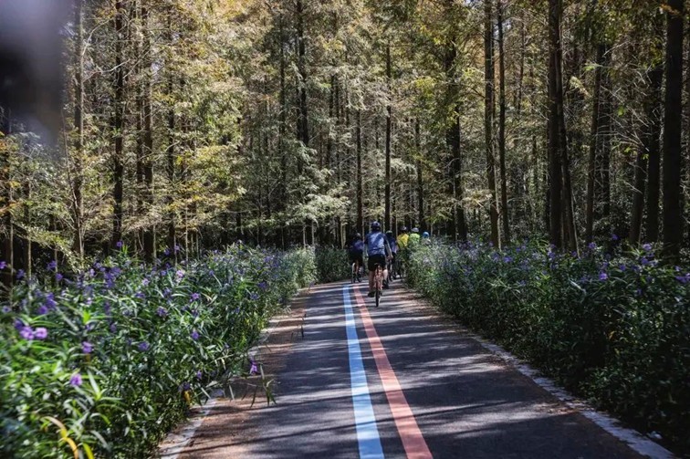 追风少年的春日漫游指南,带你邂逅青浦的N种风情! 追风少年的春日漫游指南,带你邂逅青浦的N种风情!