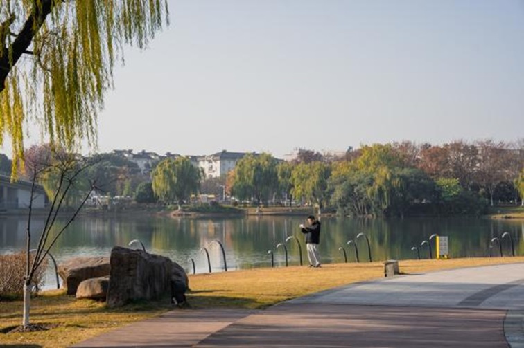 冬日“沪”水游，青浦新城：冬境绮梦，水韵流长