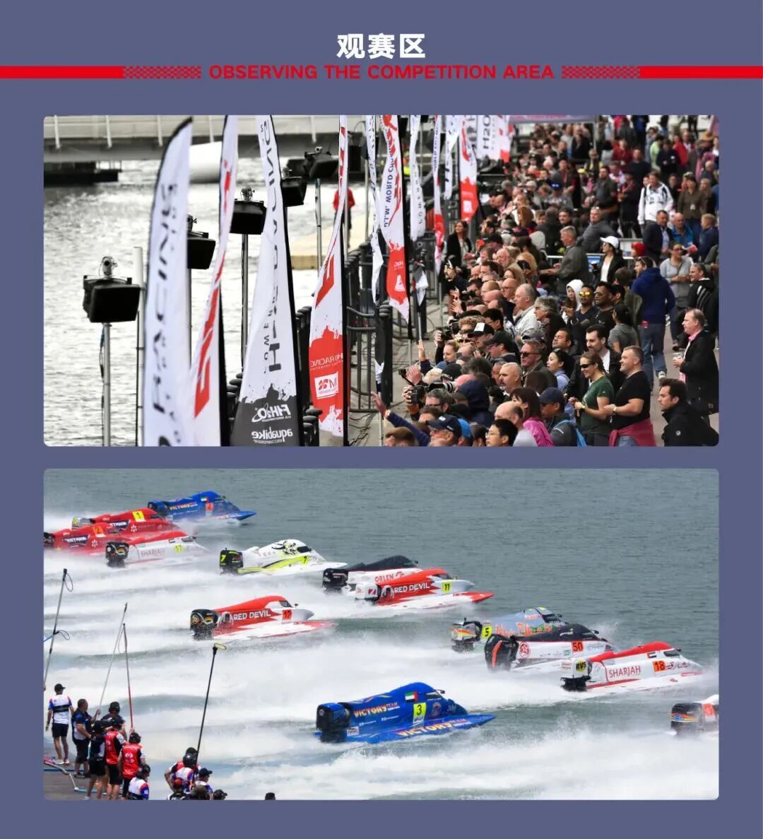 3观赛区.jpg