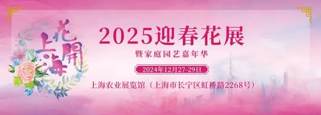爱花人的盛会！2025迎春花展将在长宁这里举行→1.jpg
