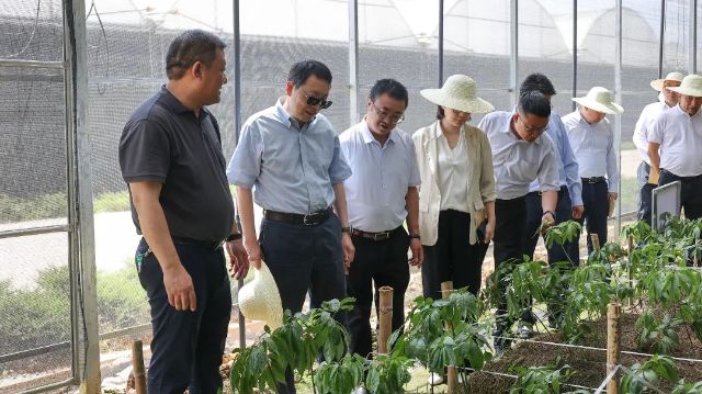 0526_143728_572.jpg 微信图片_2025-05-26_122439_431.jpg