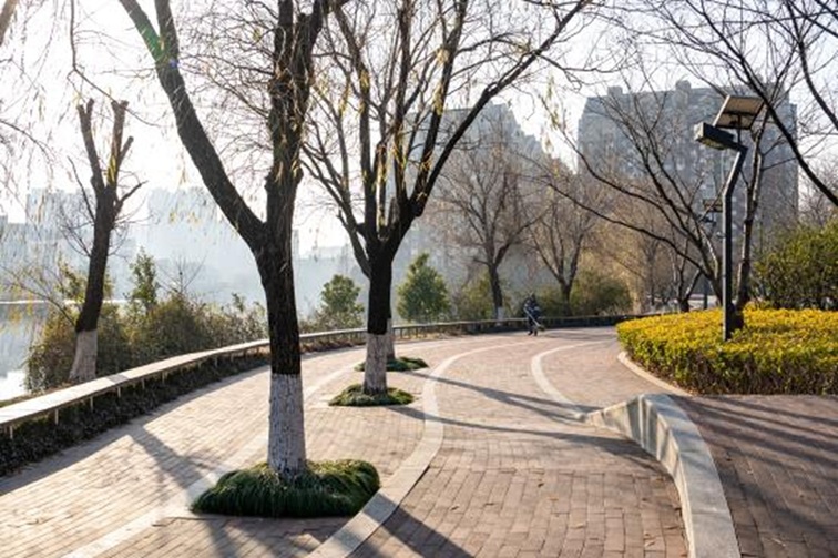 青浦河长:城中美湖,静谧安然 青浦河长:城中美湖,静谧安然