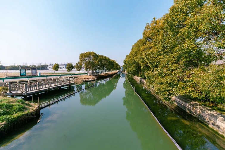 江南春景水一半，12处小流域绘青浦生态美域