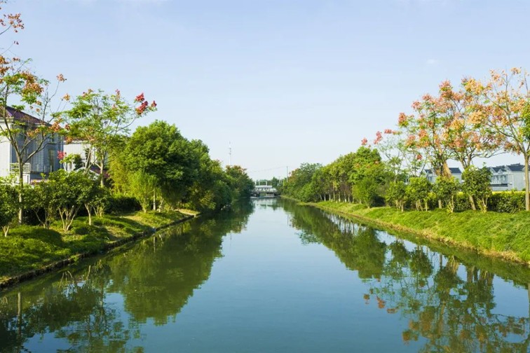 江南春景水一半，12处小流域绘青浦生态美域