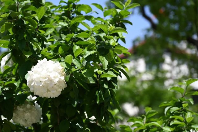 0421_152726_847.jpg 微信图片_2025-04-21_142031_089.jpg