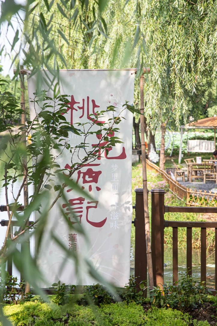 会·聚青浦|这些沪郊雅宿一到秋天就美翻,田园小院赏秋不扎堆 会·聚青浦|这些沪郊雅宿一到秋天就美翻,田园小院赏秋不扎堆