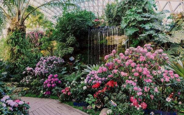 花凝光韵 (1).jpg 花凝光韵 (1).jpg