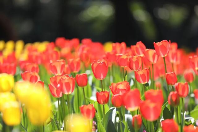 0324_125943_175.jpg 微信图片_2025-03-24_130021_407.jpg