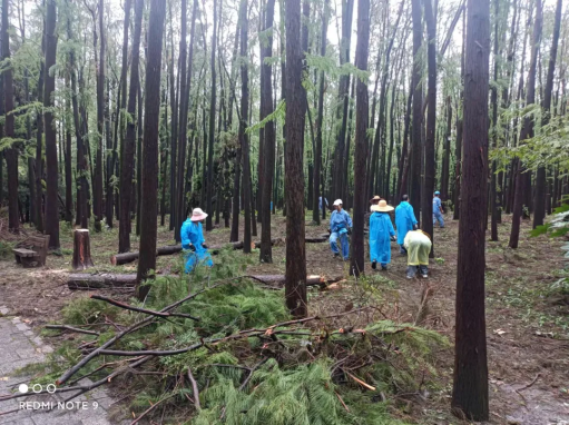 微信图片_20240925102646.png 微信图片_20240925102646.png