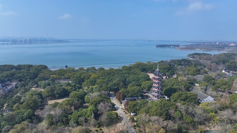 沪水畔,慢时光!梅花映水,到青浦赏梅品水 沪水畔,慢时光!梅花映水,到青浦赏梅品水