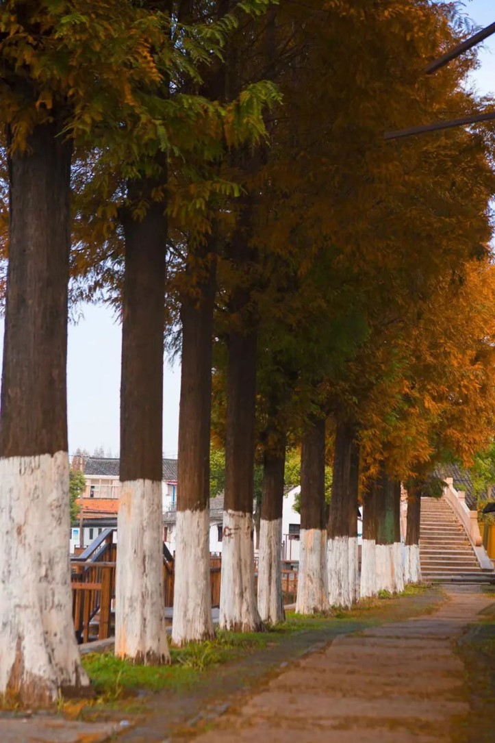 会·聚青浦|来青浦捕捉秋色,观看一场五彩缤纷的秋天童话剧! 会·聚青浦|来青浦捕捉秋色,观看一场五彩缤纷的秋天童话剧!