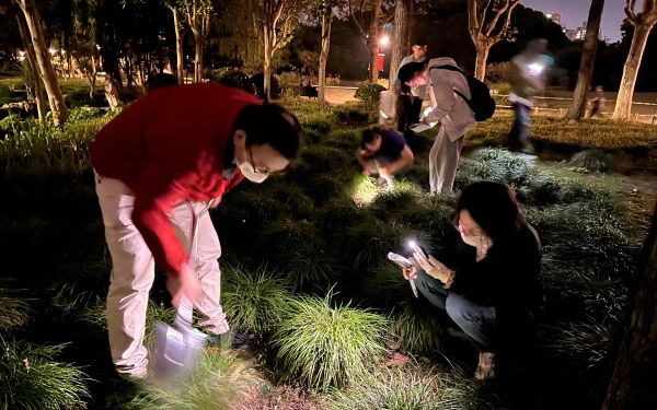 2024-10-12 195407.jpg 2024-10-12 195407.jpg