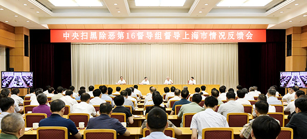 中央扫黑除恶第16督导组向上海市反馈督导情况