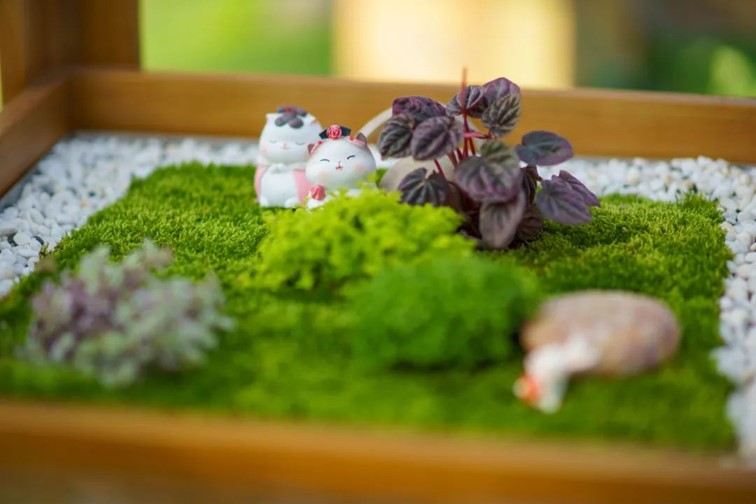 会·聚青浦|这条既City又Country的旅“行”,才是当代人的最爱! 会·聚青浦|这条既City又Country的旅“行”,才是当代人的最爱!