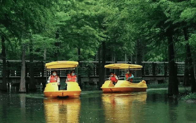 20240710140059026922.gif 640.gif